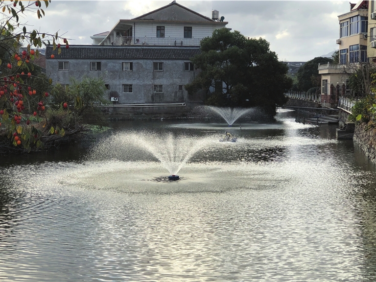 “河水清澈了，環境也變好了” 院橋開展河道生態修復顯成效