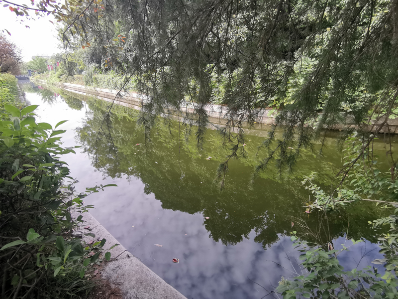 徐州市政府護(hù)城河水質(zhì)維護(hù)工程