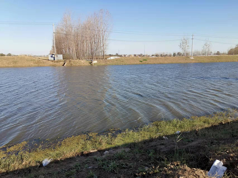 豐縣歡口鎮歡子河水生態修復工程