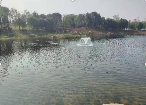 喜訊！江蘇正澤生態環境科技有限公司中標蕭縣官橋鎮農村黑臭水體綜合整治(生態治理）采購項目、蕭縣趙莊鎮農村黑臭水體綜合整治采購項目