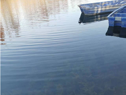 豐縣歡口鎮(zhèn)東營(yíng)子河