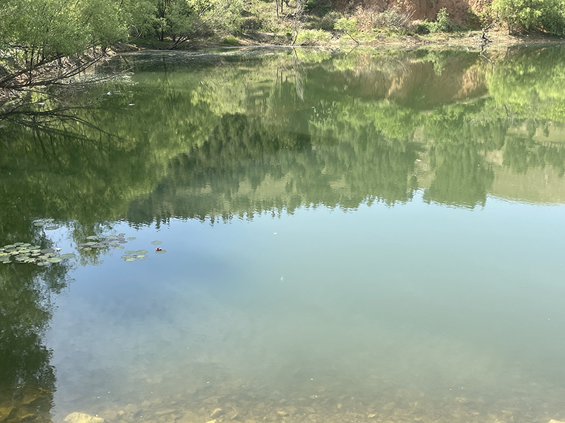 蕭縣龍城鎮(zhèn)帽山水庫(kù)