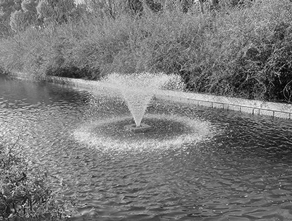 徐州市政府護(hù)城河