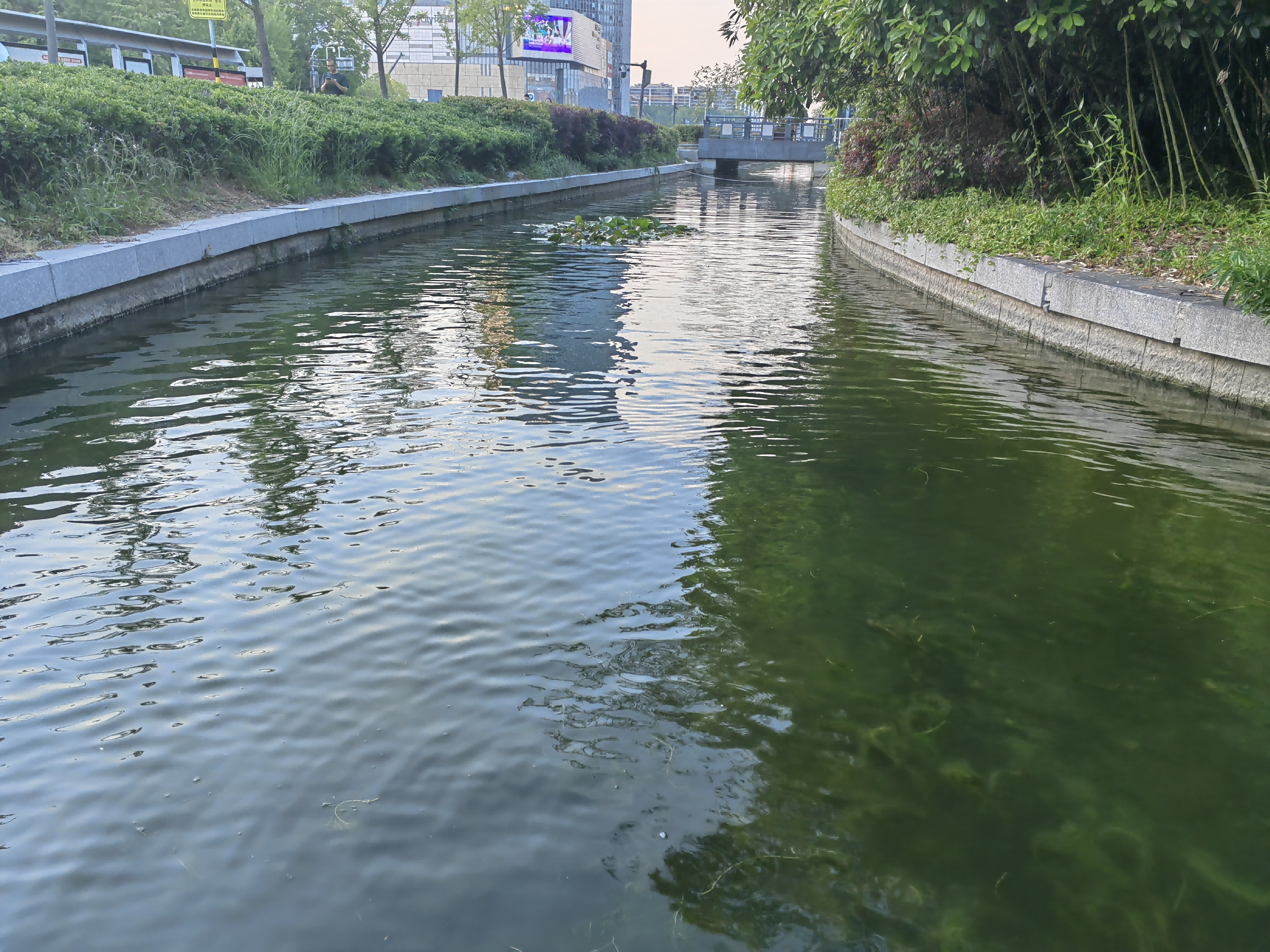 組圖1(1)(1).png 組圖1(1)(1).png