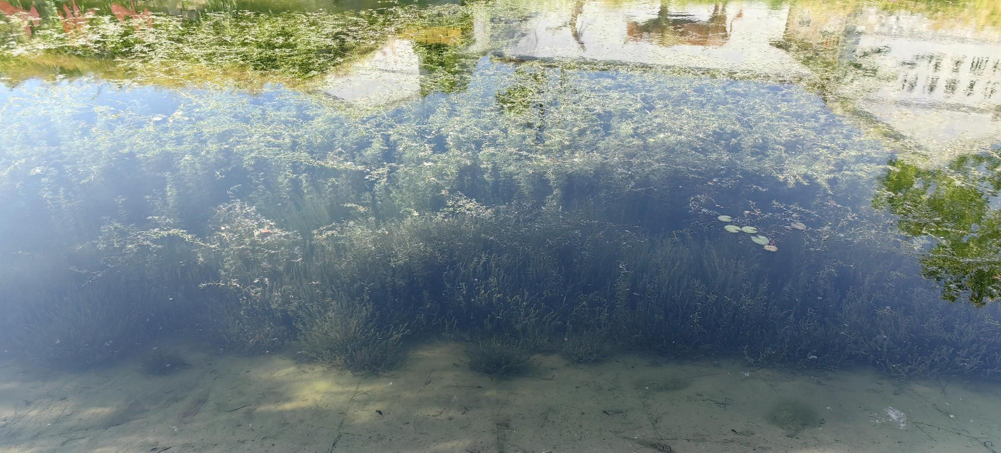 組圖3.png 組圖3.png