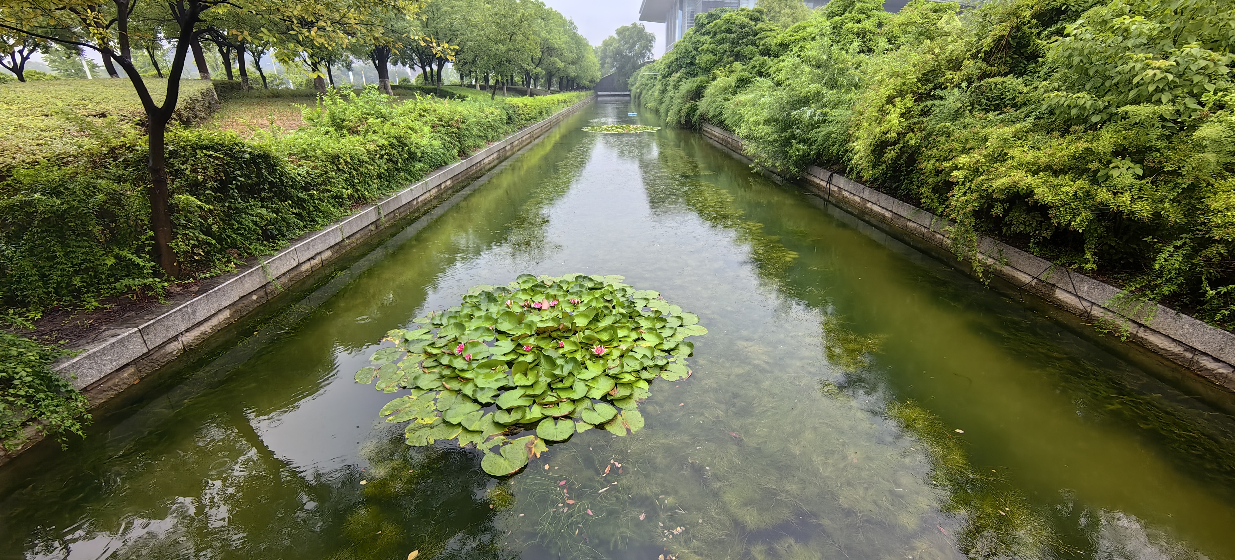 徐州市政府護(hù)城河水質(zhì)維護(hù)工程