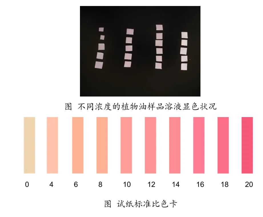 上傳圖片2.png 上傳圖片2.png