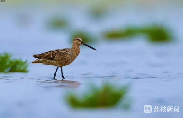 上傳圖片2.png 上傳圖片2.png