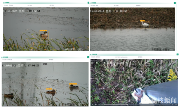 上傳圖片3.png 上傳圖片3.png