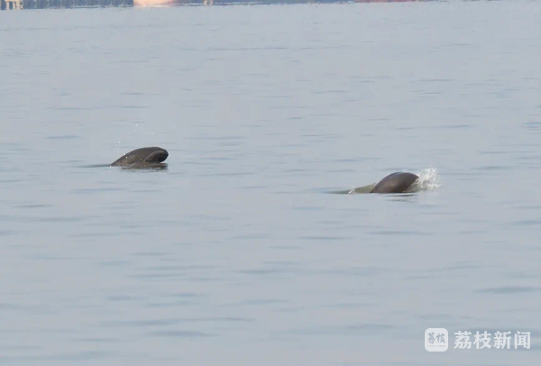 上傳圖片4.png 上傳圖片4.png