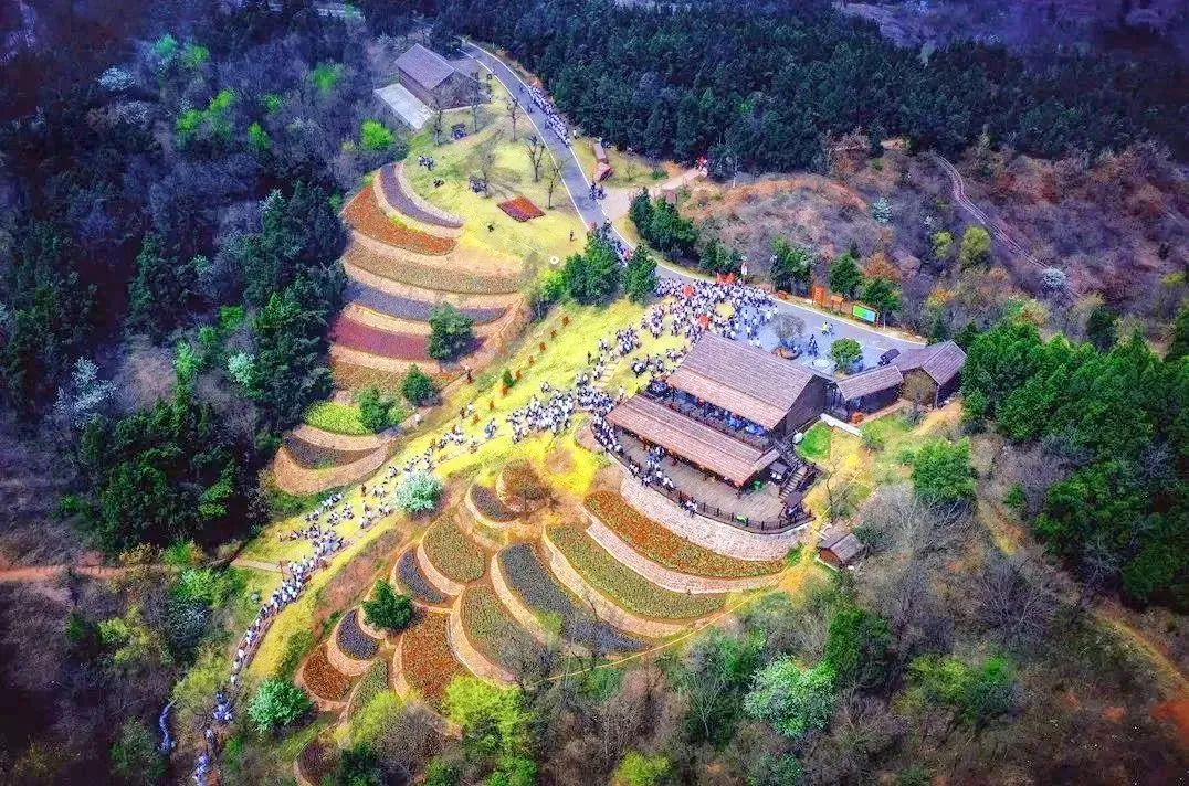 上傳圖片2.png 上傳圖片2.png