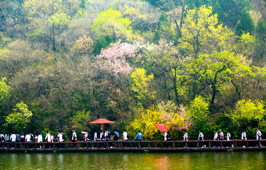 上傳圖片3.png 上傳圖片3.png